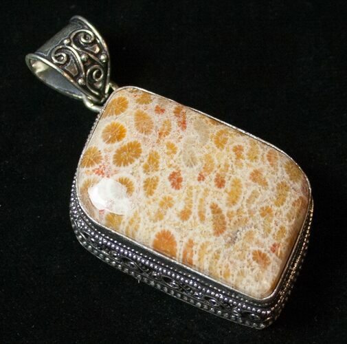 Large Fossil Coral Pendant #8518